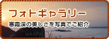 フォトギャラリー　観光地として愛される寒霞渓の美しさを写真でご紹介