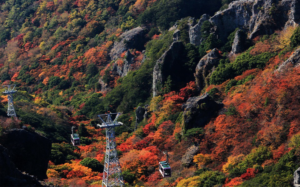 日本全國紅葉情報2023！最佳賞楓時間＋Top 10.紅葉名所排名｜持續更新