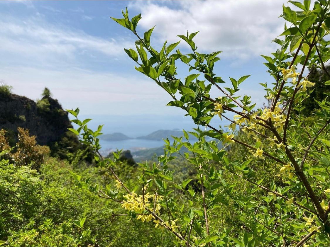 新緑情報 04 24 季節の情報 小豆島の観光なら寒霞渓ロープウェイへ 日本三大渓谷美 国立公園 寒霞渓 小豆島観光