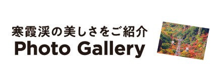 Photo Gallery